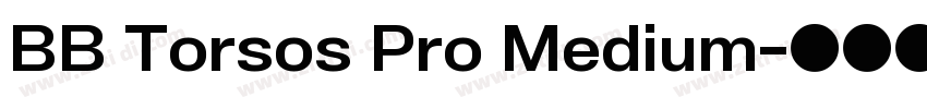 BB Torsos Pro Medium字体转换